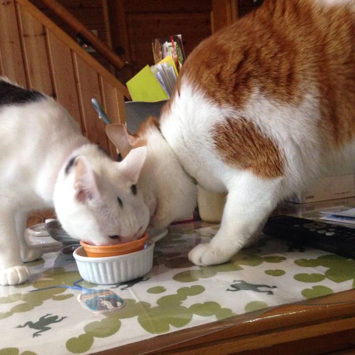 A852efc7 dfac 4bfc 91d3 484be4efc5d3 1510610974917