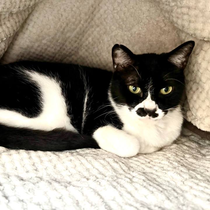 A852f5a7 b09f 46d2 8802 79ad9f0af504 1746578124912