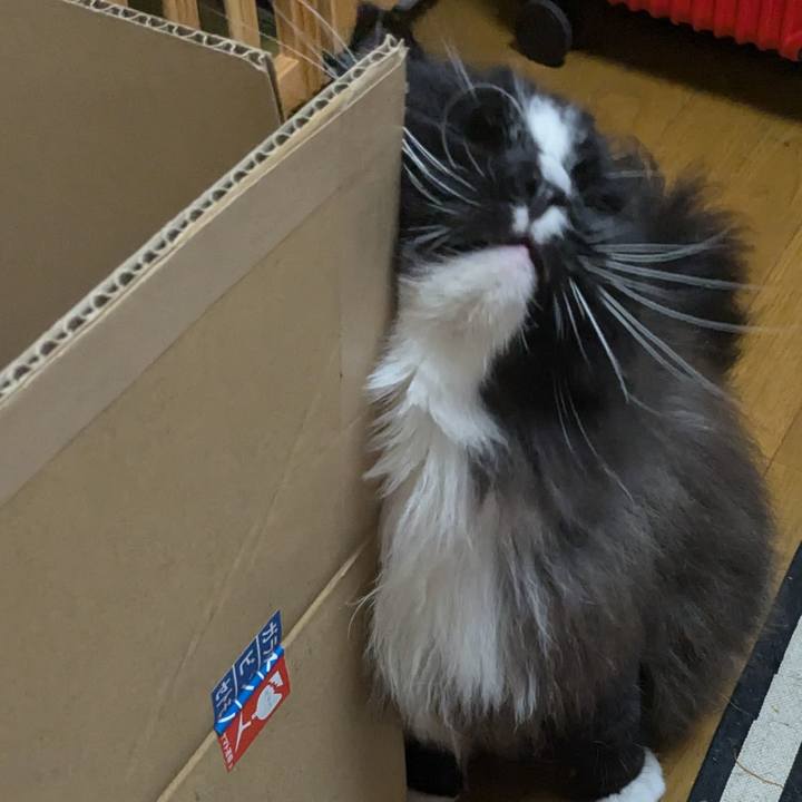 A852ffb1 c9b1 45dc 945f 073acd14631f 1728780478651