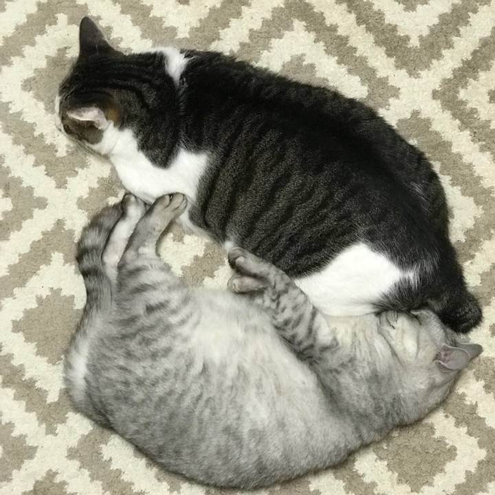 A8530981 570a 4ec2 9823 ba4b674159c1 1633606502711