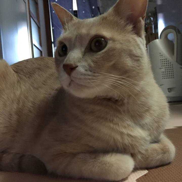 A8532ae9 e5b7 4363 af07 5cb9941f1e87 1578881128463