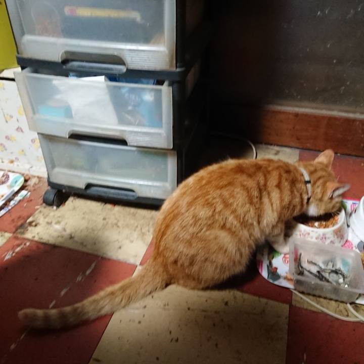 A85341c1 35f4 427e bb6a df685c9a7f82 1592163549281