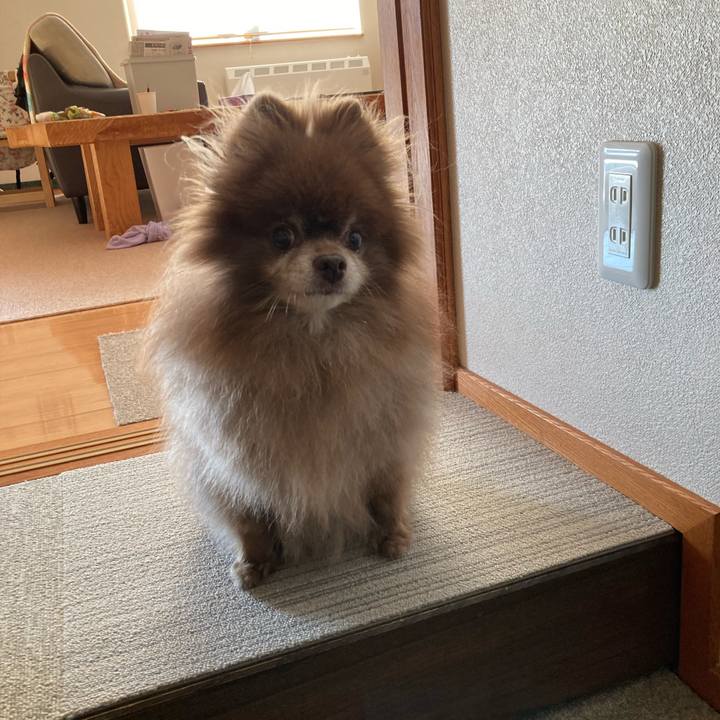 A8535534 1542 4ad3 8265 9ff8e8374079 1697355294961