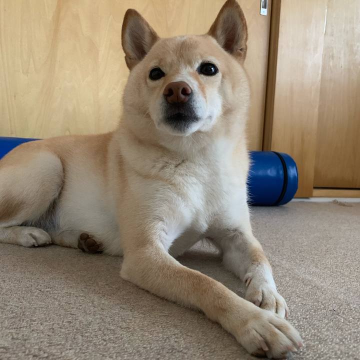 A853f50d 78ca 4477 801d 28dd67b8b6d1 1635808537983