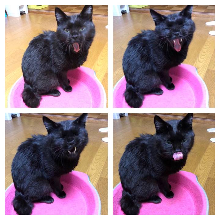 A854189a 3097 41a3 b2a6 9cd9f2c18abd 1569168908804