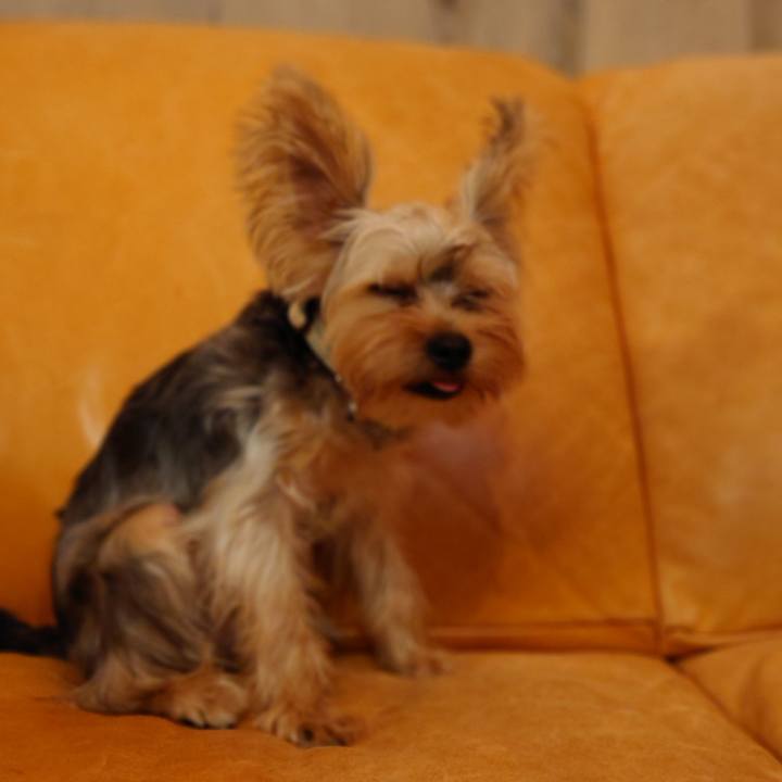 A854230d 2bc5 4c66 a36d aed12872b58a 1754171843552