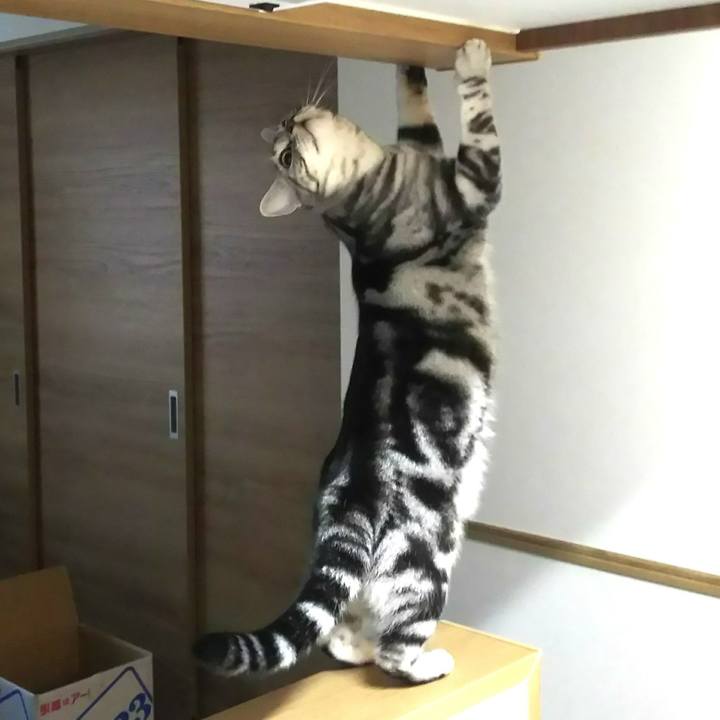 A854251c 6f66 48d6 af16 5abd3f688520 1580203963868