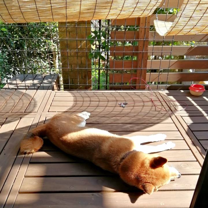 A85457f6 55c6 42d7 880f 64b655d584f8 1656144071454