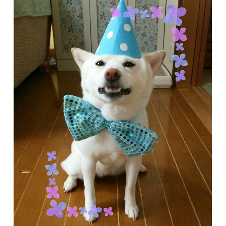 A8546115 e610 4602 a554 cb5322c6e4e1 1530920647914