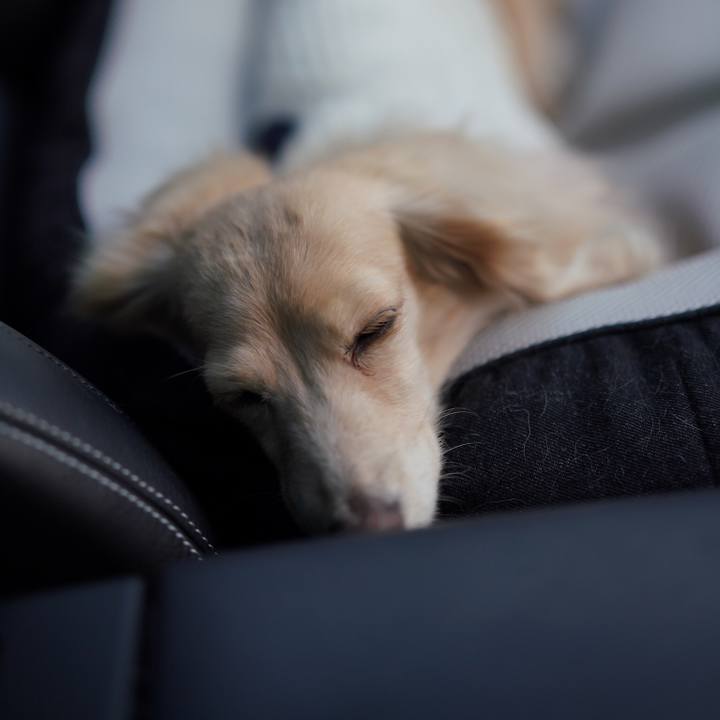 A8546b92 9bac 43ee b94e ab285907ab07 1522589775150