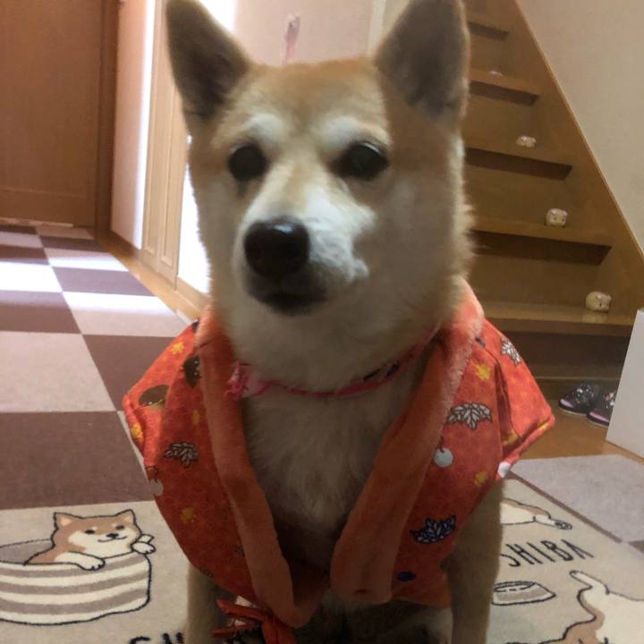 A8547493 06c1 477b b096 d578644ae577 1577799800670