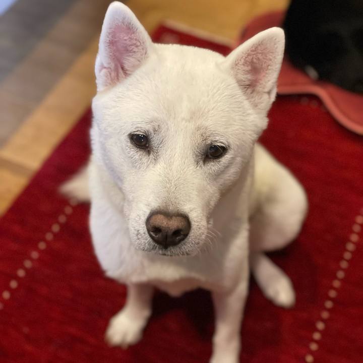 A854f79c e57c 48e8 ae7c 47253490b88f 1684406024438