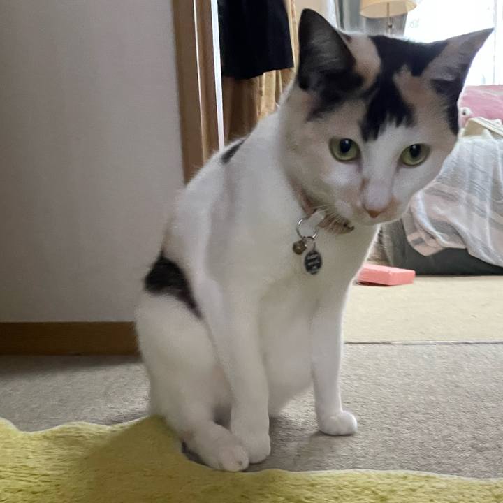 A8550987 95b1 463c 8254 7ef0f819b05f 1746321959896