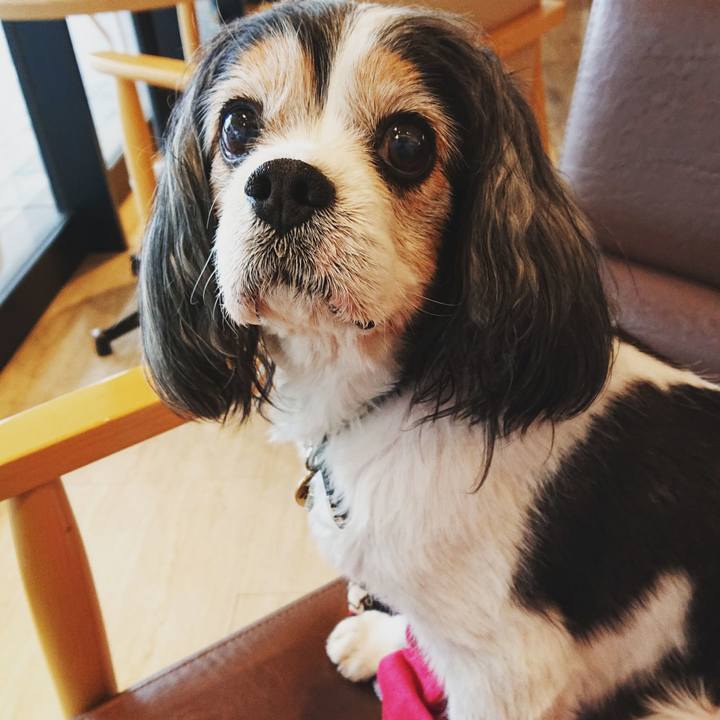 A8554e6a fb74 4df2 b10d 43374c9fd318 1577761620842