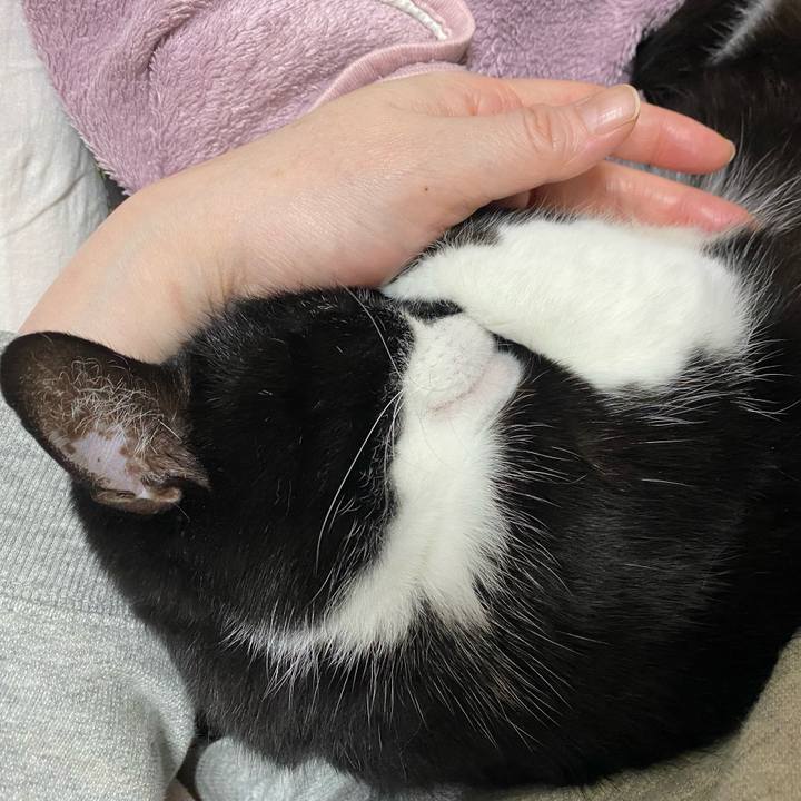 A8556c55 fb44 4a0b 8170 7291bfb305f4 1741194777056