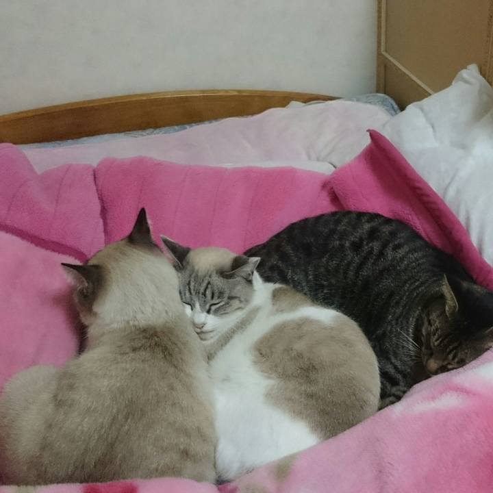 A855801c 0dc1 40e8 ba6b 5669d10702e8 1509890175861