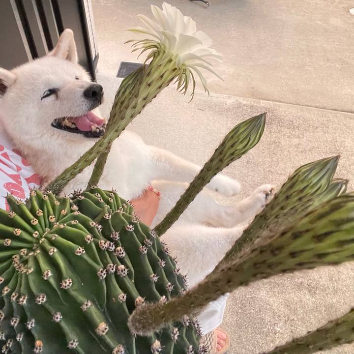 A85584d5 daf7 4b8f a650 e9a0f5263360 1757595010050