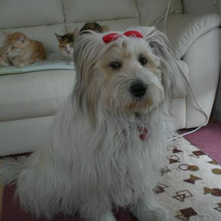 A855bb92 a367 480a 9d69 a161016ef3f8 1556970964490