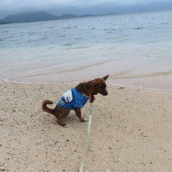 A855c1b1 d566 4dd9 9dd8 0caaa78ad566 1590300963163