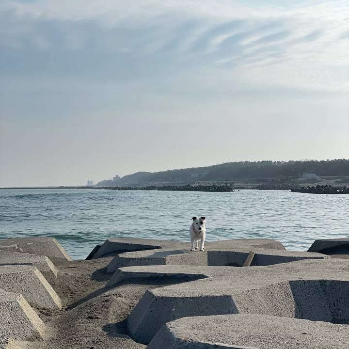 A855e953 cee4 4568 b82b 55d856abfd2b 1616801111200