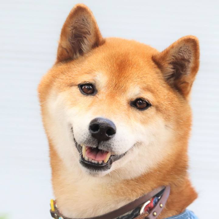 A855f694 87f2 4a17 9e1a f07cbbb9af07 1654518851862