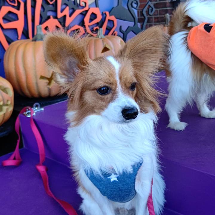 A8560996 f25f 4b0d 99ea a182b04ee9a6 1635080333399