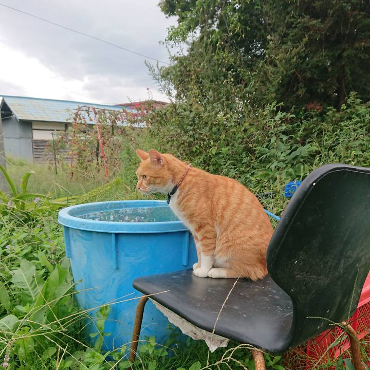 A85630d4 4259 4176 a53f 1e3f3930d0d0 1600481780551