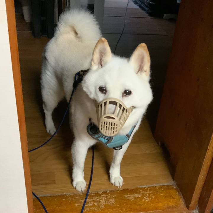 A856aa52 dc94 4b2c ba10 2a5ba0aebc4c 1759006160334