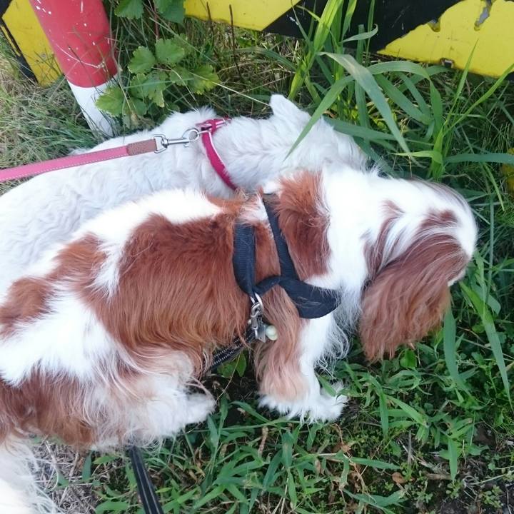 A856b4a3 55be 4902 8e12 ff0f726835d3 1536185531857