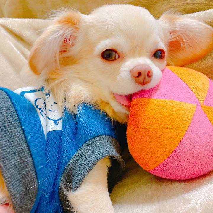 A856cc23 0b3b 469c a262 c1b016ec0814 1638364129184