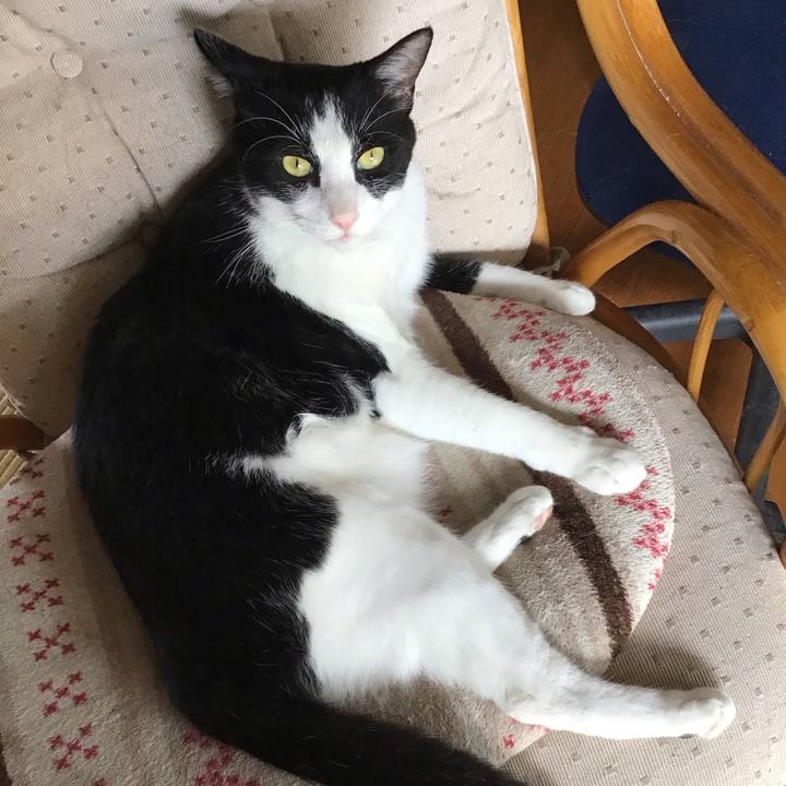 A8570d23 9ba2 4fa7 9a64 2b85a4968d3b 1690101531673