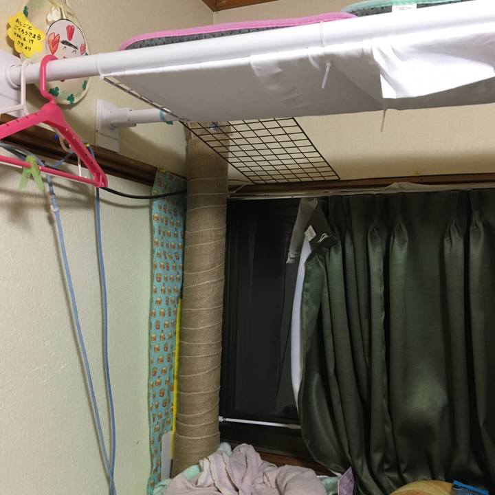 A85737b8 cf6e 4b5a a81a e69c592fe333 1540212363836