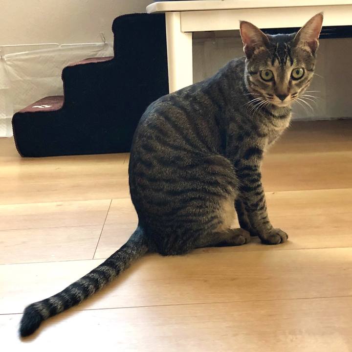 A8574045 d10a 4541 b57a 8db18c9839f8 1524300964199