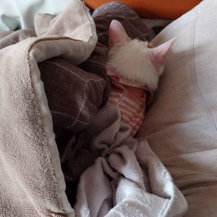 A8575207 23c9 4534 9607 8bcc6143dfe5 1769085124846