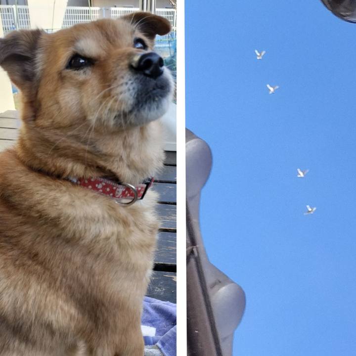 A8575b37 f0ef 4804 8471 3cc05423fe9d 1740193164290