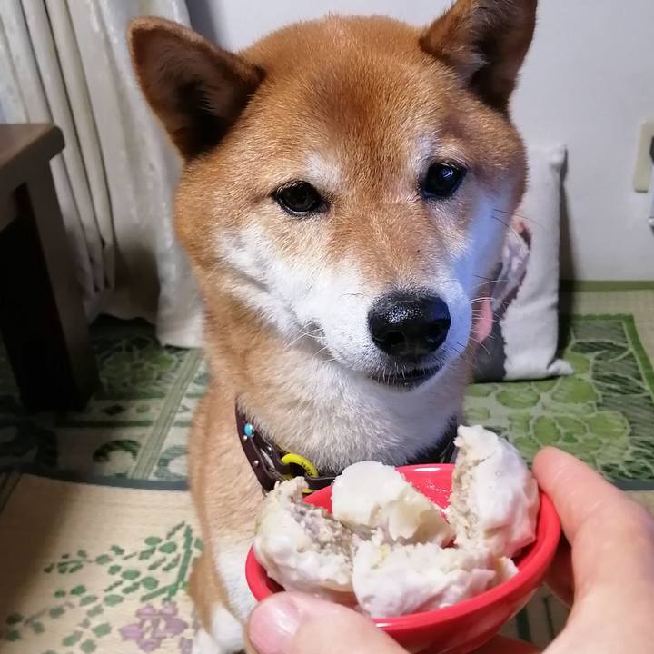 A857b56c e558 4506 969d 8ac083d57b49 1622286112425