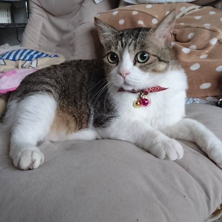 A857be27 5a75 4e83 8536 d560d578117a 1532563934746