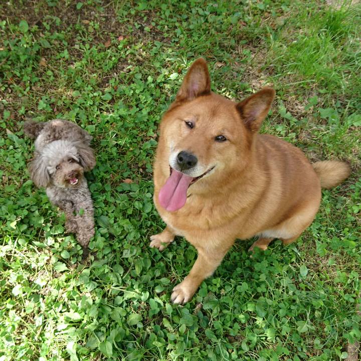 A857c16d ec9a 4f9c ba92 3e7c4cd88283 1538801407269