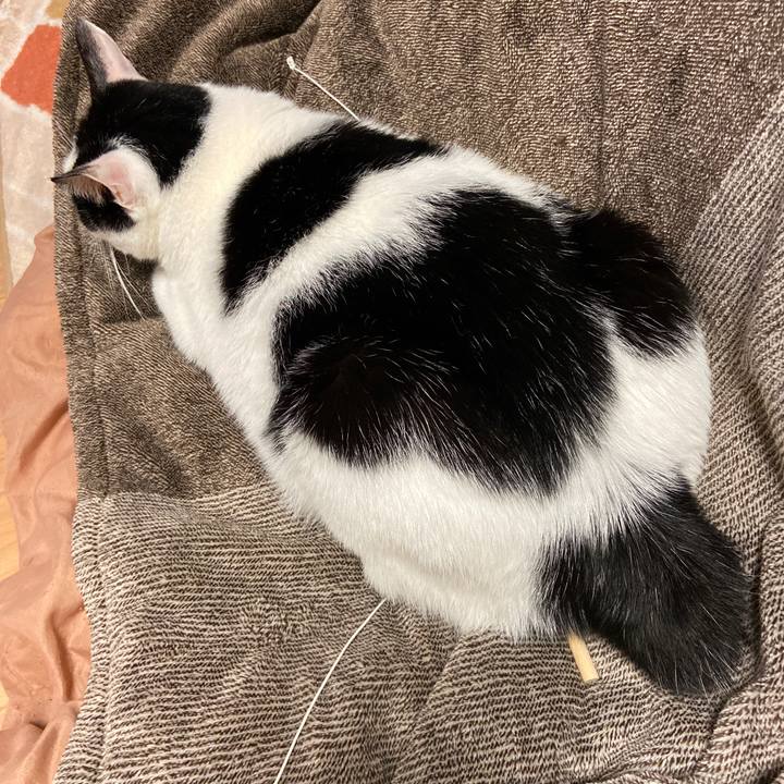 A857f11a 929b 49fd 817f d9999f9a9f44 1577446274526