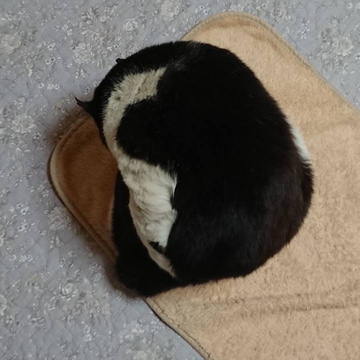 A8581b8e 685e 47cc 9360 1f41d37a6864 1611099041194