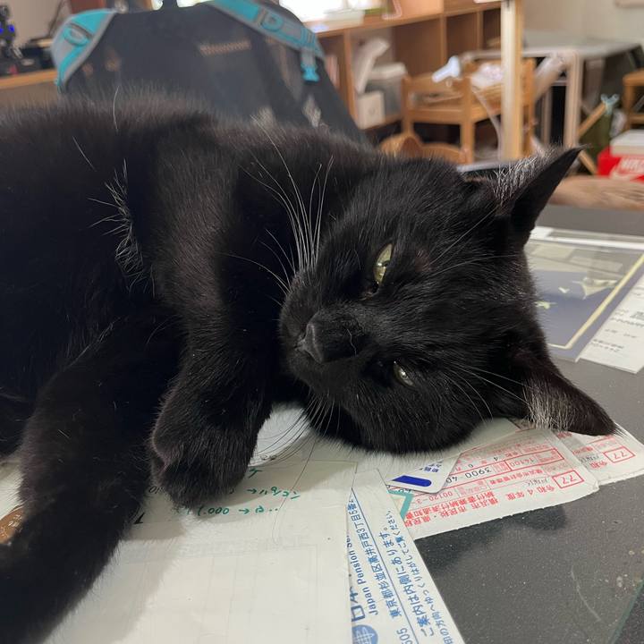 A85831eb 2fe1 4eaf 8357 9500d776bead 1664856701989