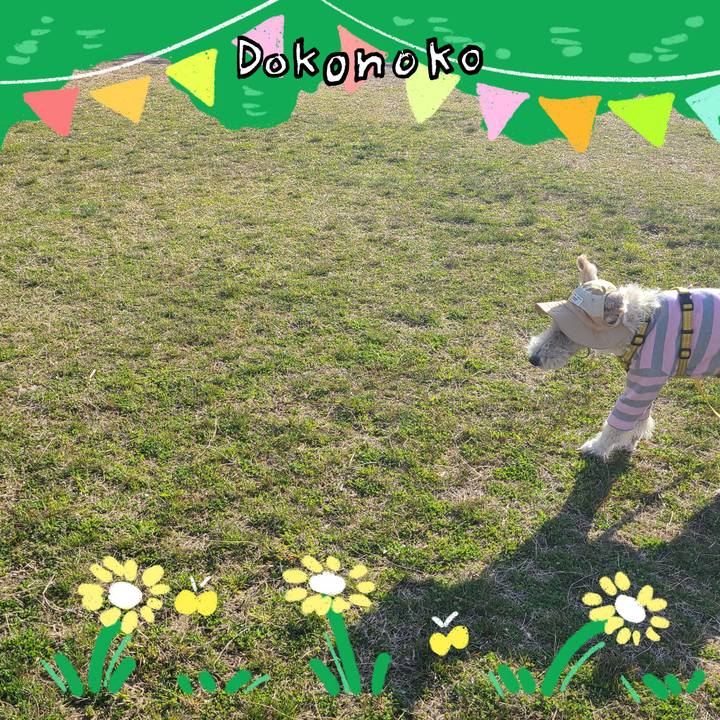 A858390f 75a3 4a7e ab81 b8066b73a164 1711066351487