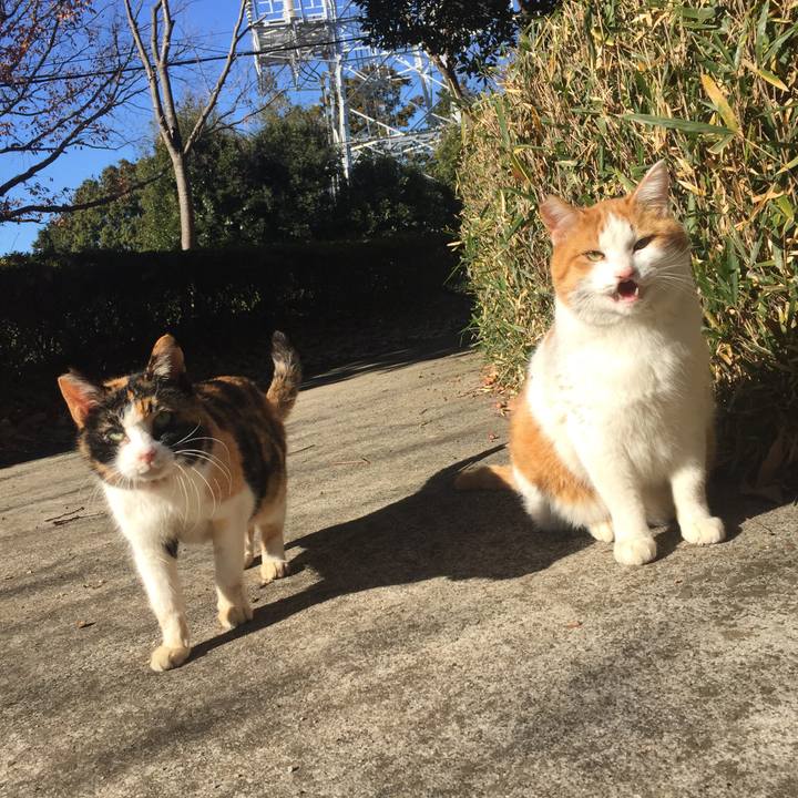 A858440f f1aa 4f21 90a0 93659a9fd09d 1514468752469