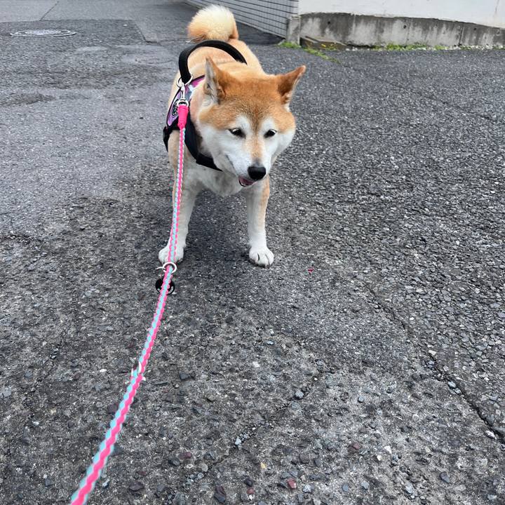 A8584b2b dfdf 4548 ad80 f56ab8445463 1716518850019