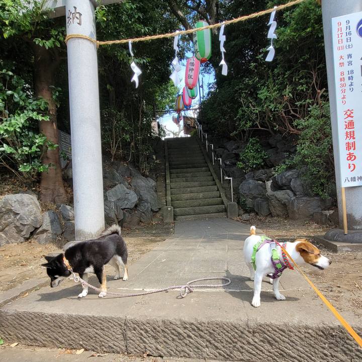 A858510b 2873 4e2c 8b29 0079807289c7 1694992609322