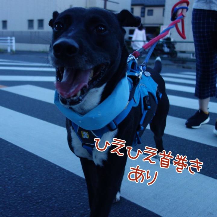 A8587186 46f1 4dcc acdf 0506083bc4c2 1627987628981