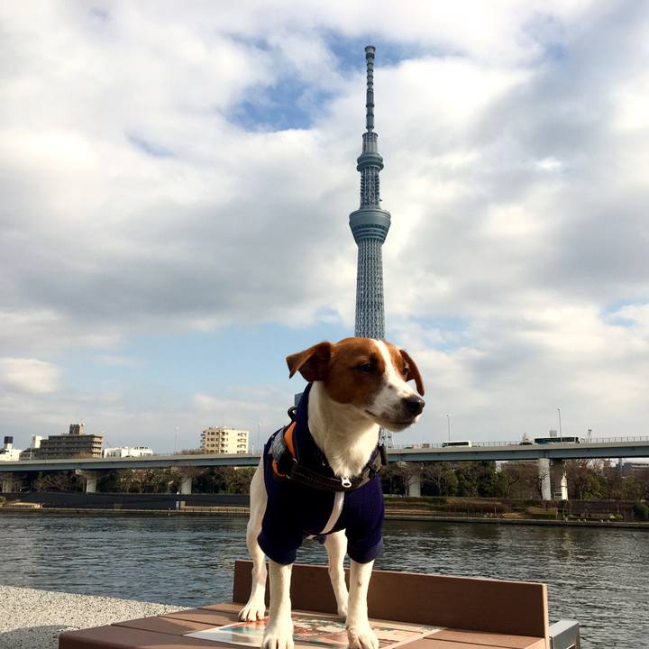 A8587e0f d6d9 414d b183 f1ff590ff264 1518325066214