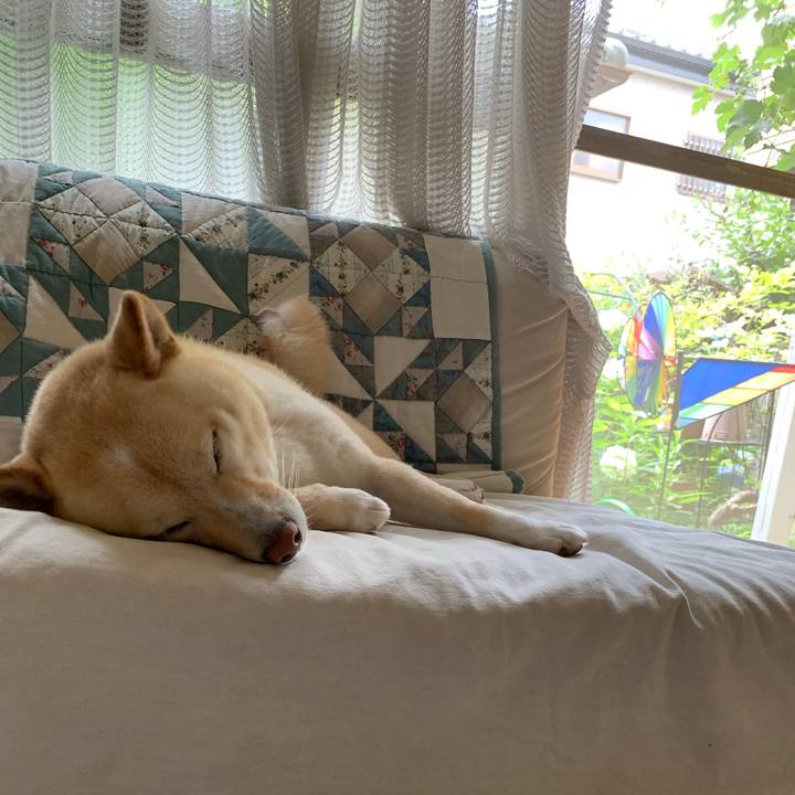 A85885b2 6349 4f0e 9c3f 7f33cc76dc99 1655859545601