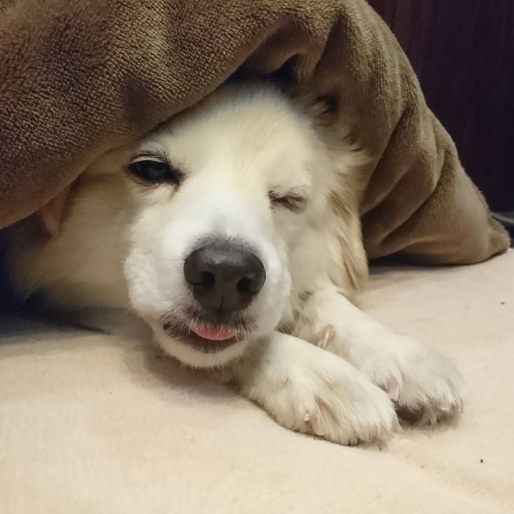 A858bb72 9713 4160 8b3e fc192bac0fd3 1548536773545