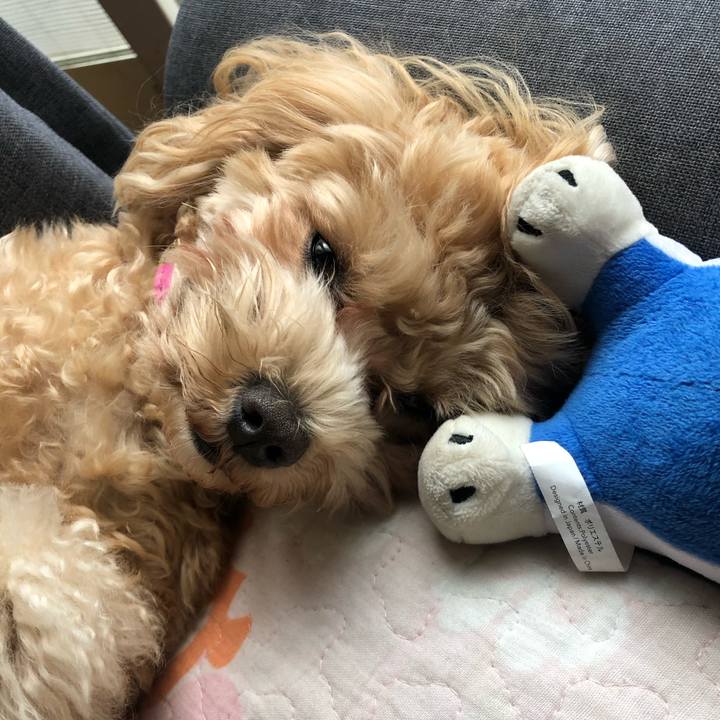 A858f1e9 c0d0 4ffd a526 659f33141a97 1605827666416